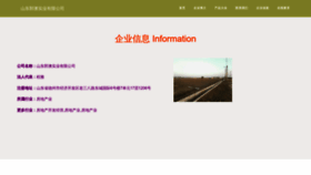 What Sdguoao.com website looked like in 2023 (This year)