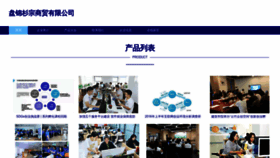 What Shanzong.top website looked like in 2023 (This year)