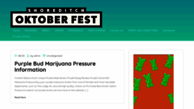 What Shoreditchoktoberfest.com website looked like in 2023 (This year)