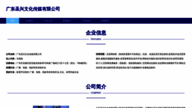 What Shengxingbs.top website looked like in 2023 (This year)