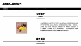What Sg105.cn website looked like in 2023 (This year)