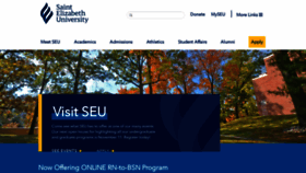 What Steu.edu website looked like in 2023 (This year)