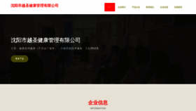What Syhaoxin.cn website looked like in 2023 (This year)