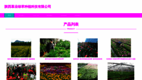 What Sxhengyou.cn website looked like in 2023 (This year)
