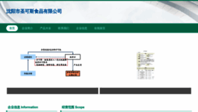 What Sygus.cn website looked like in 2023 (This year)