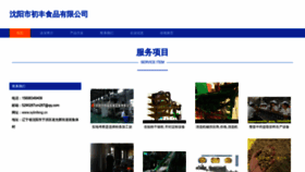 What Sylinfeng.cn website looked like in 2023 (This year)