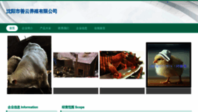 What Sylea.cn website looked like in 2023 (This year)