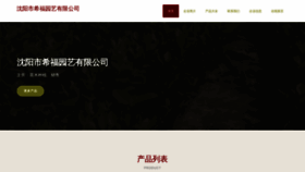 What Syjyhd.cn website looked like in 2023 (This year)