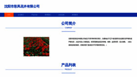 What Sysgmw.cn website looked like in 2023 (This year)