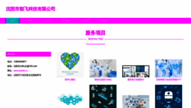 What Syshlw.cn website looked like in 2023 (This year)