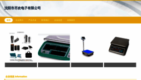 What Syxhe.cn website looked like in 2023 (This year)