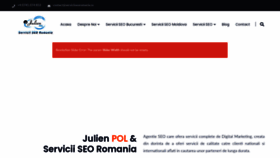 What Serviciiseoromania.ro website looked like in 2023 (This year)