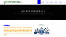 What Svnfeto.cn website looked like in 2023 (This year)
