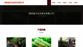 What Sxrongfa.cn website looked like in 2023 (This year)