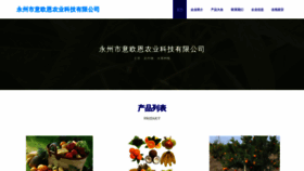 What Soyio.cn website looked like in 2023 (This year)