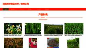 What Syessn.cn website looked like in 2023 (This year)