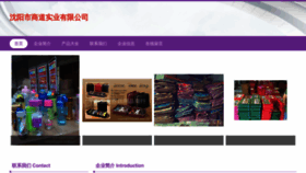 What Syaineng.cn website looked like in 2023 (This year)