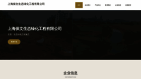 What Shsnbw.cn website looked like in 2023 (This year)