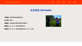 What Skfmafu.cn website looked like in 2023 (This year)