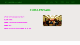 What Spring-doors.cn website looked like in 2023 (This year)