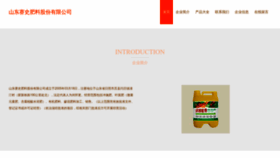 What Sdsaishi.cn website looked like in 2023 (This year)