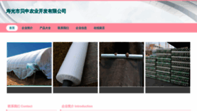 What Seotbsy.cn website looked like in 2023 (This year)