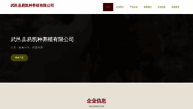 What Sk1i.cn website looked like in 2023 (This year)