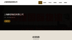 What Shdingjing.cn website looked like in 2023 (This year)
