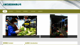 What Shyidun.cn website looked like in 2023 (This year)