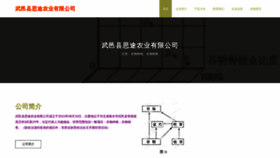What Situ999.cn website looked like in 2023 (This year)