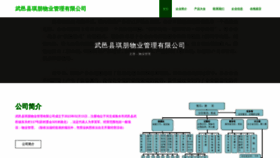What Sjhqipf.cn website looked like in 2023 (This year)