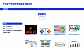 What Sennas.cn website looked like in 2023 (This year)
