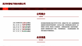 What Scshifei.cn website looked like in 2023 (This year)