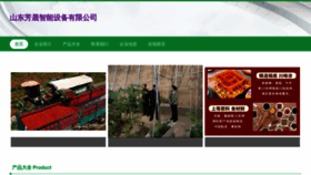 What Sdfangsheng.cn website looked like in 2023 (This year)