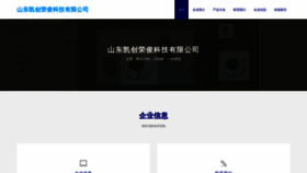 What Sdkaichuang.cn website looked like in 2023 (This year)