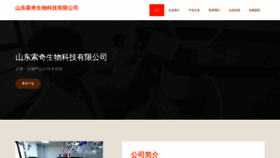 What Sdsouqi.cn website looked like in 2023 (This year)
