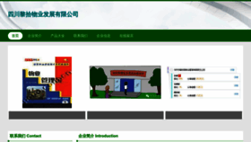 What Saiheyi.cn website looked like in 2023 (This year)