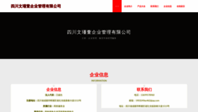 What S91ic.cn website looked like in 2023 (This year)