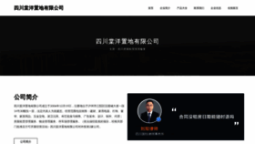 What Sc066.cn website looked like in 2023 (This year)