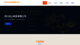 What Sczhixin.cn website looked like in 2023 (This year)