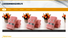What Sdyandao.cn website looked like in 2023 (This year)