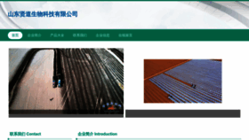 What Sdxiandao.cn website looked like in 2023 (This year)