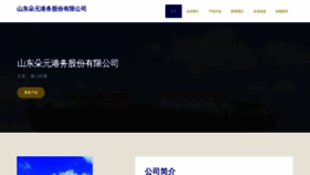 What Sduys.cn website looked like in 2023 (This year)