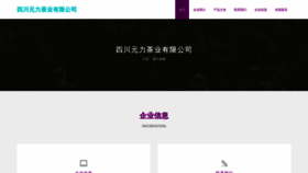 What Sanyuanlipin.cn website looked like in 2023 (This year)