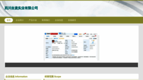 What Scmjipm.cn website looked like in 2023 (This year)