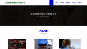 What Sddsg.cn website looked like in 2023 (This year)