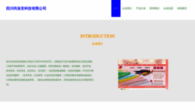 What Sc0396.cn website looked like in 2023 (This year)