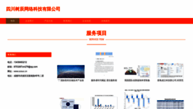 What Scsuc.cn website looked like in 2023 (This year)