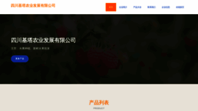 What Scjita.cn website looked like in 2023 (This year)