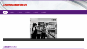 What Shepn.cn website looked like in 2023 (This year)